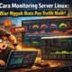 dashboard netdata monitoring server linux vps debian